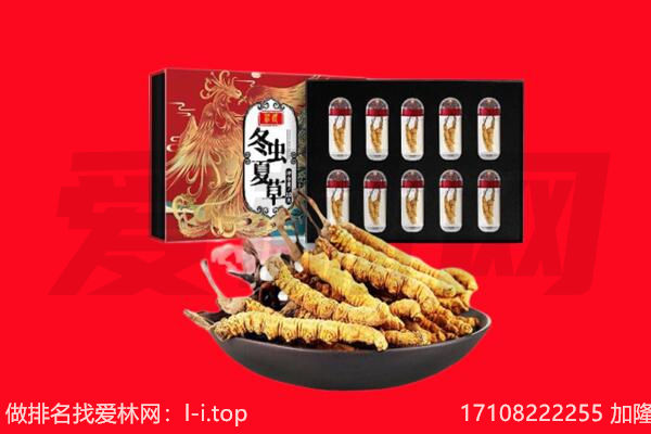 昆玉市回收虫草.jpg